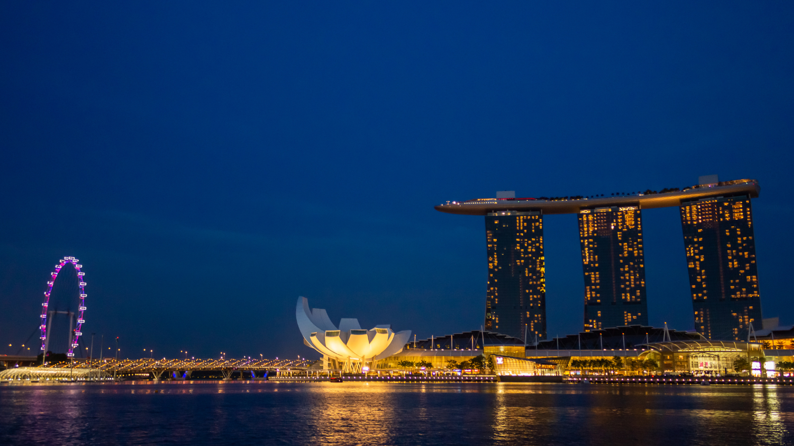 Fact-o-Logy — Singapore Edition